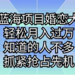 冷门蓝海项目婚恋大市场，轻松月入过W