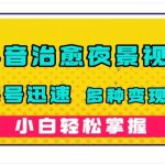 短视频：治愈系夜景视频，起号迅速，多种变现方式，小白轻松掌握（附120G素材）