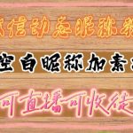 微信动态昵称设置方法,可抖音直播引流,日赚上百【详细视频教程+素材】