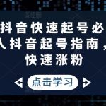 抖音快速起号必修课，普通人抖音起号指南，实现快速涨粉