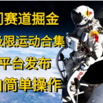 冷门赛道掘金，国外极限运动视频合集，多平台发布，小白简单操作