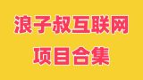 浪子叔项目合集