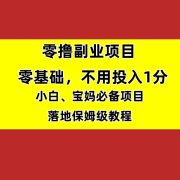零撸副业项目，零基础，小白、宝妈必备项目，落地保姆级教程。