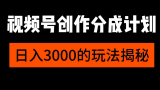 视频号创作者分成计划，每天几分钟，收入100+，小而美项目