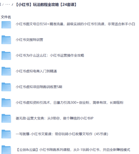 【小红书】玩法教程全攻略【24套课】